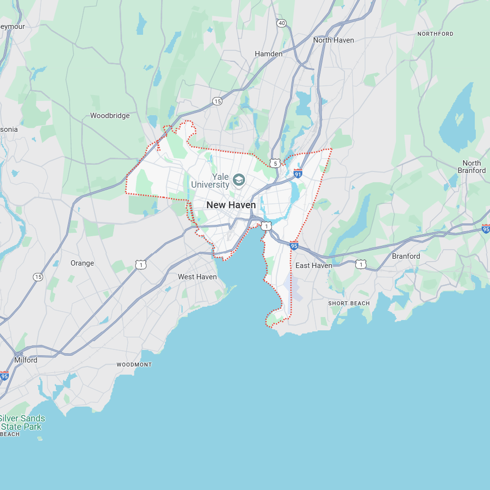 New Haven Point-in-time Analysis
